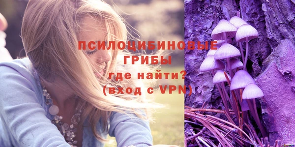 ALPHA-PVP Коряжма