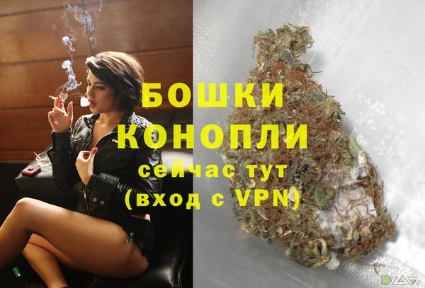 амф Костерёво