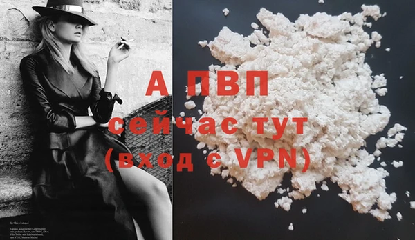ECSTASY Белая Холуница