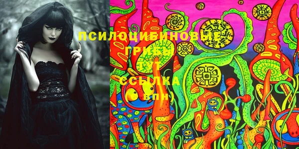 амф Костерёво