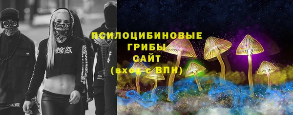 молекула духа Корсаков