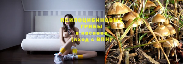 ешки Бежецк