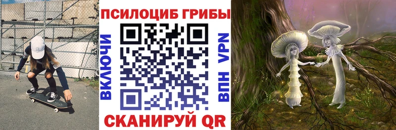 сколько стоит  Лосино-Петровский  Галлюциногенные грибы мухоморы 
